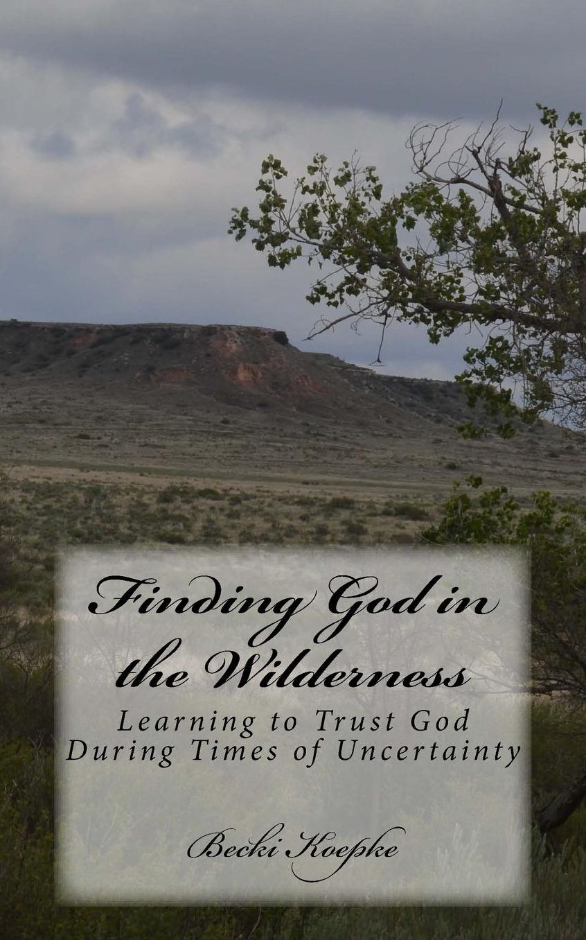Finding God in the Wilderness: Learning to Trust God During Times of Uncertainty