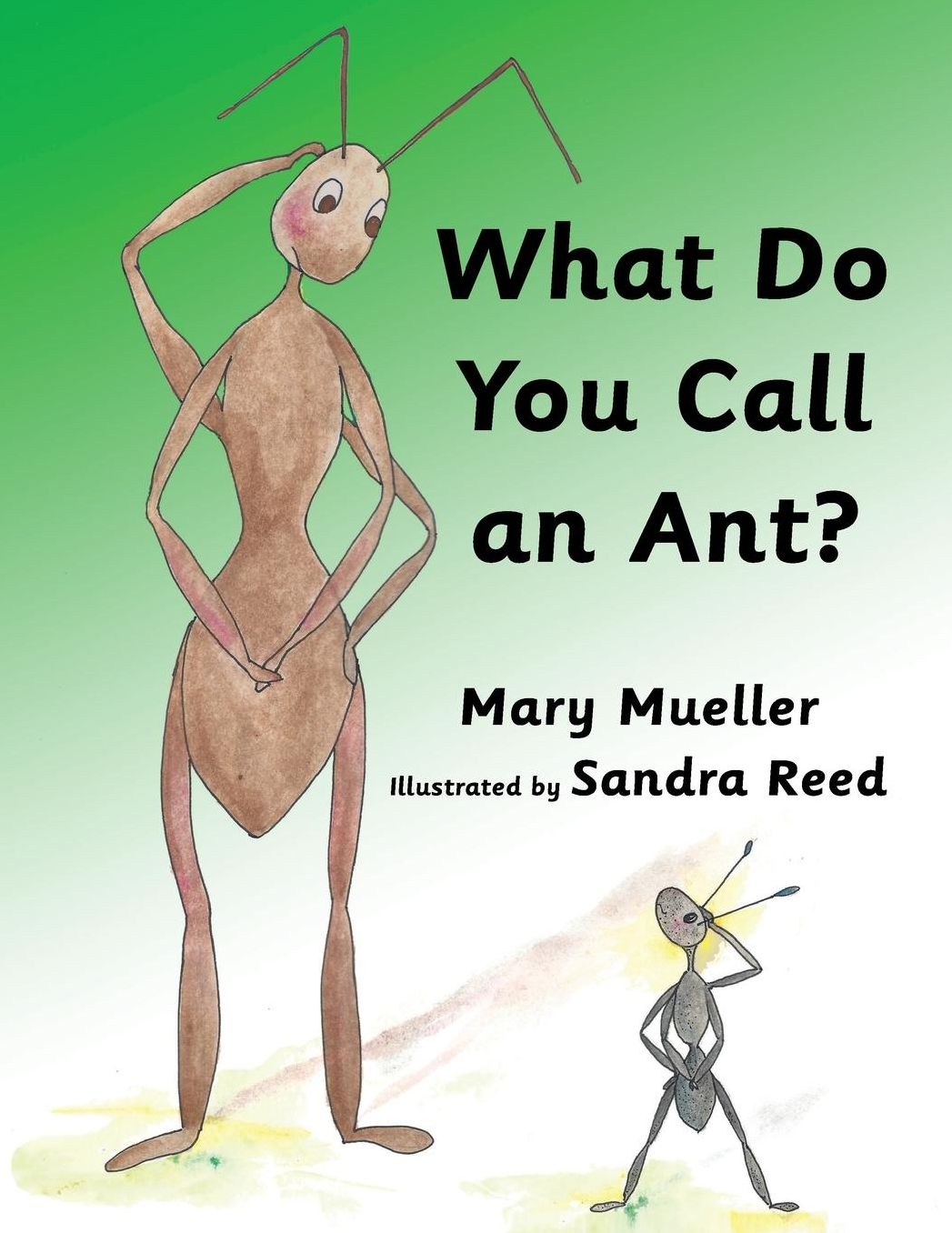 What Do You Call An Ant