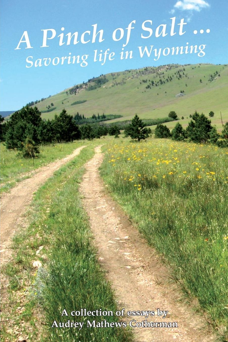 A Pinch of Salt: Savoring life in Wyoming