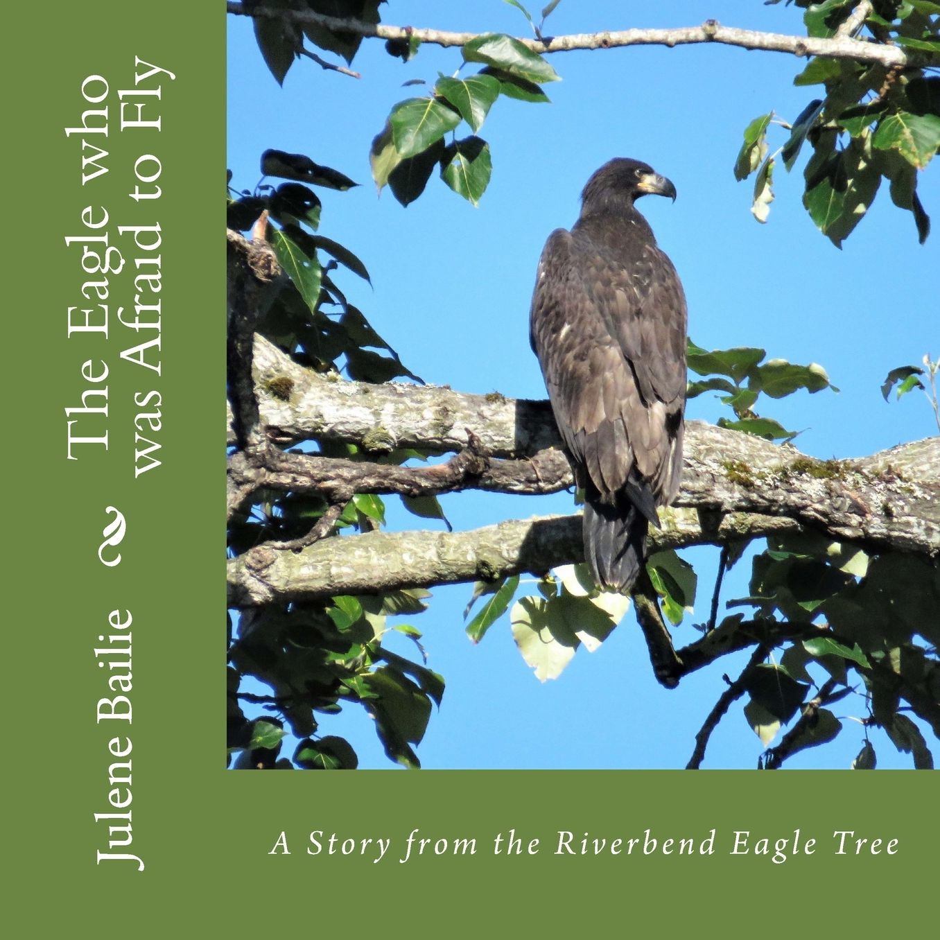 The Eagle who was Afraid to Fly
