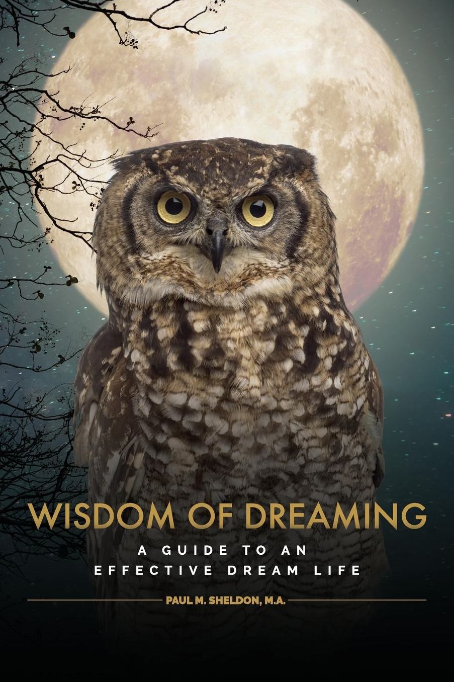 Wisdom of Dreaming: A guide to an effective dream life