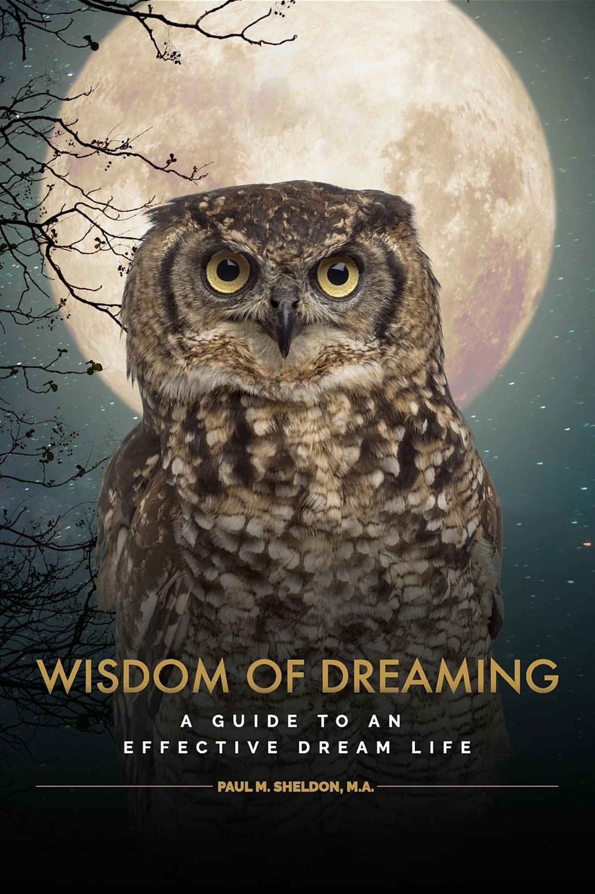 Wisdom of Dreaming: A guide to an effective dream life