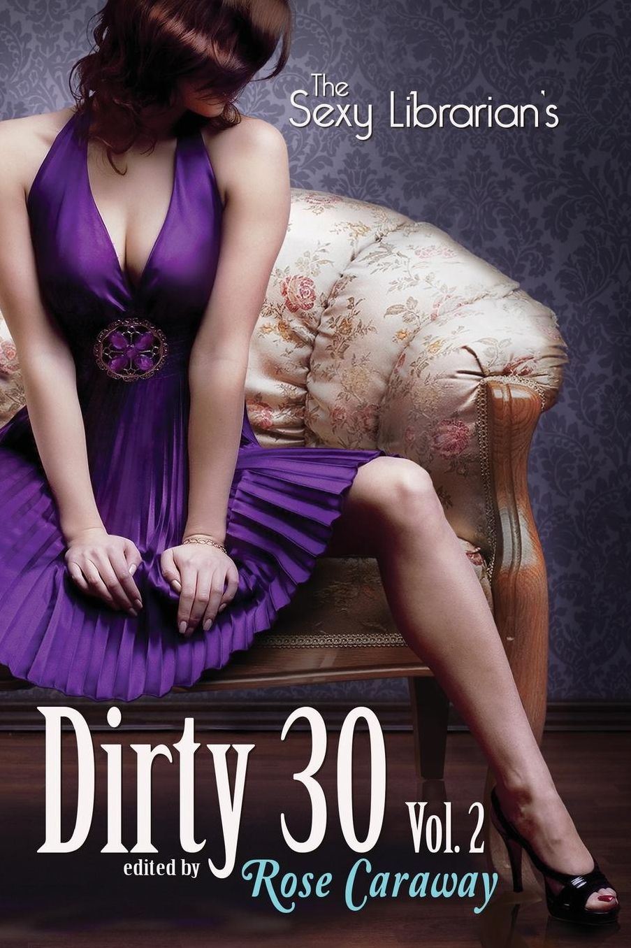 The Sexy Librarian's Dirty 30, Vol.2