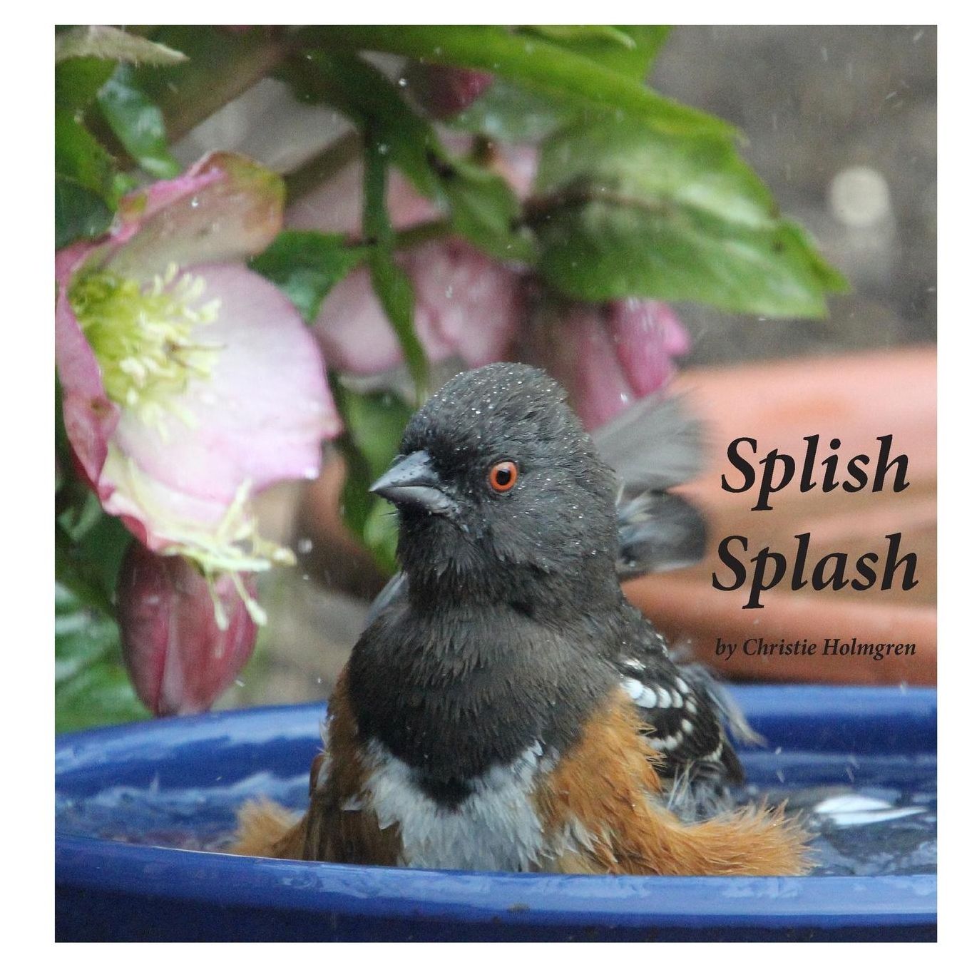 Splish Splash