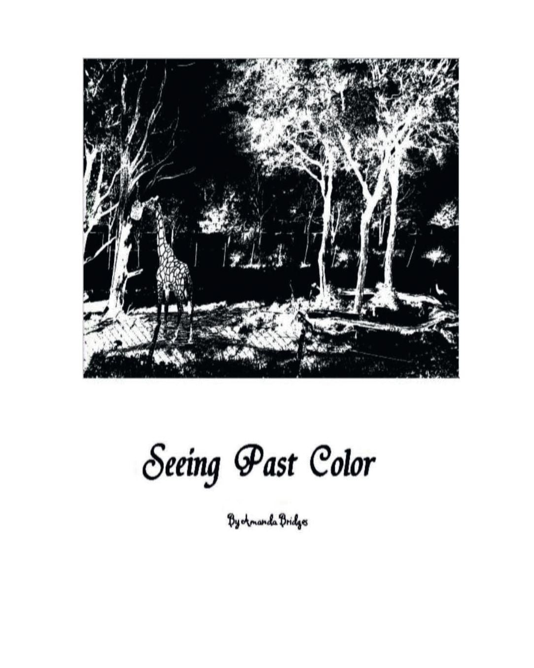 Seeing Past Color