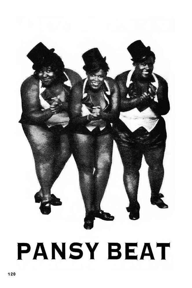 Pansy Beat