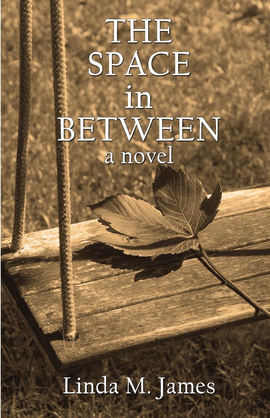 THE SPACE in BETWEEN: a novel
