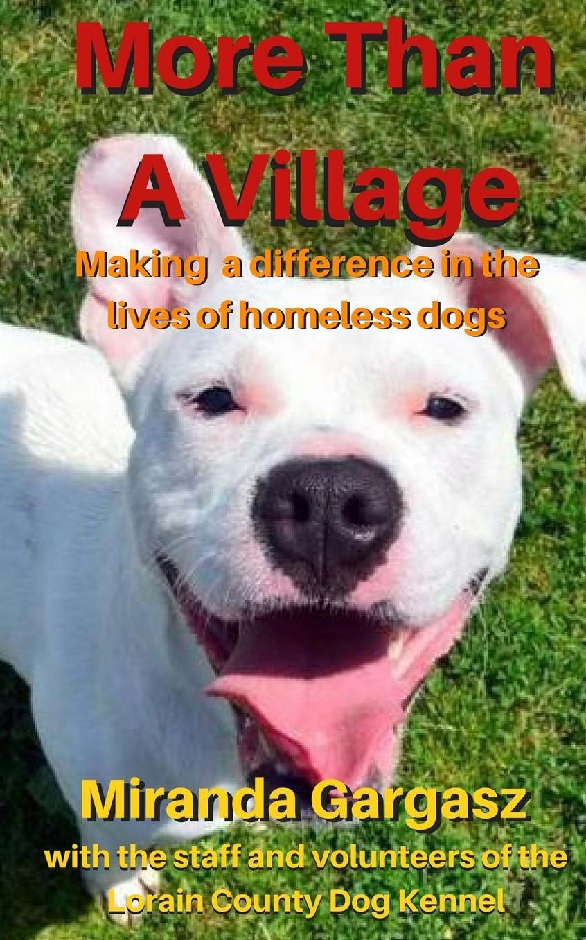 More Than A Village: Making a difference in the lives of homeless pets