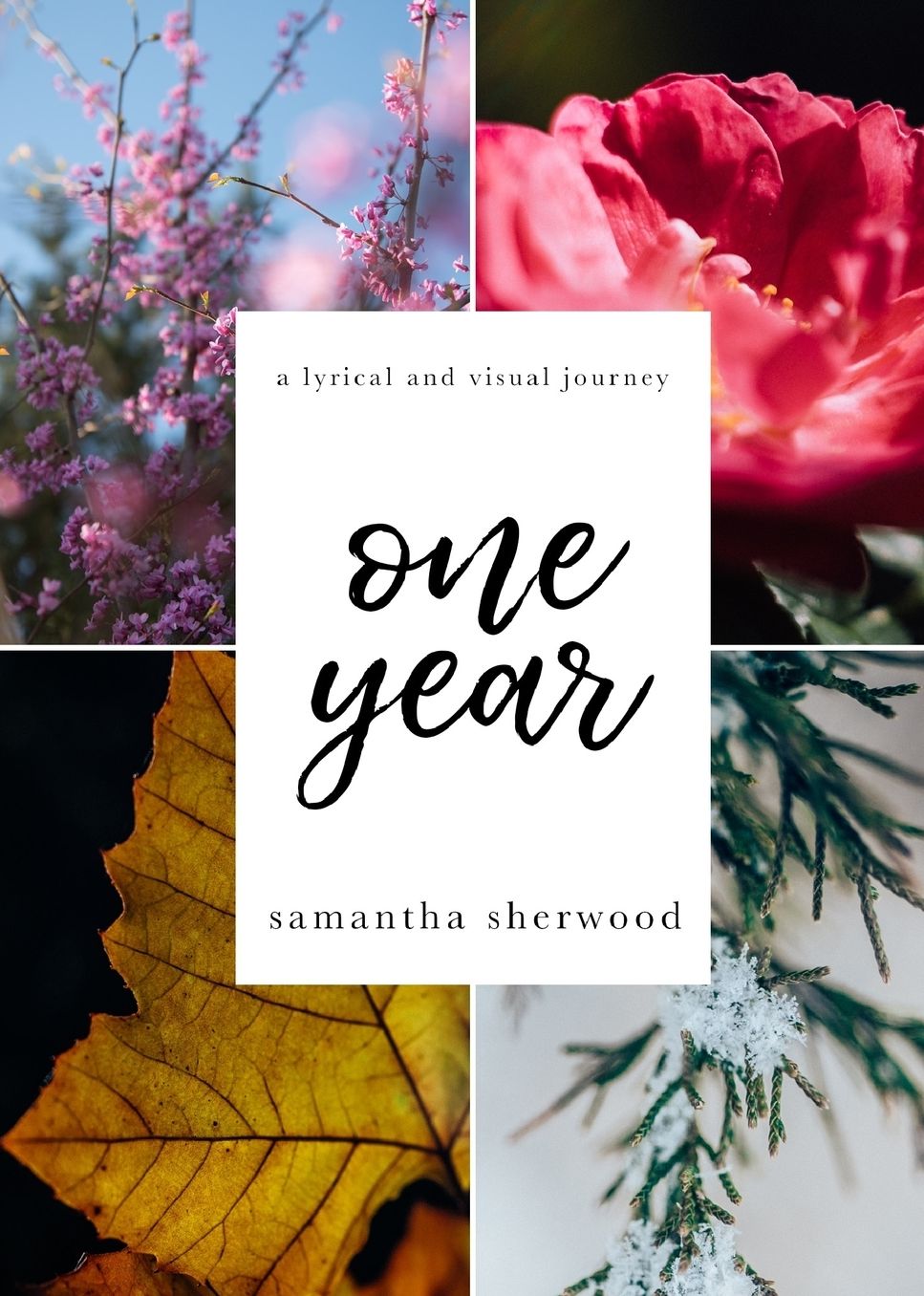 One Year: A Lyrical and Visual Journey