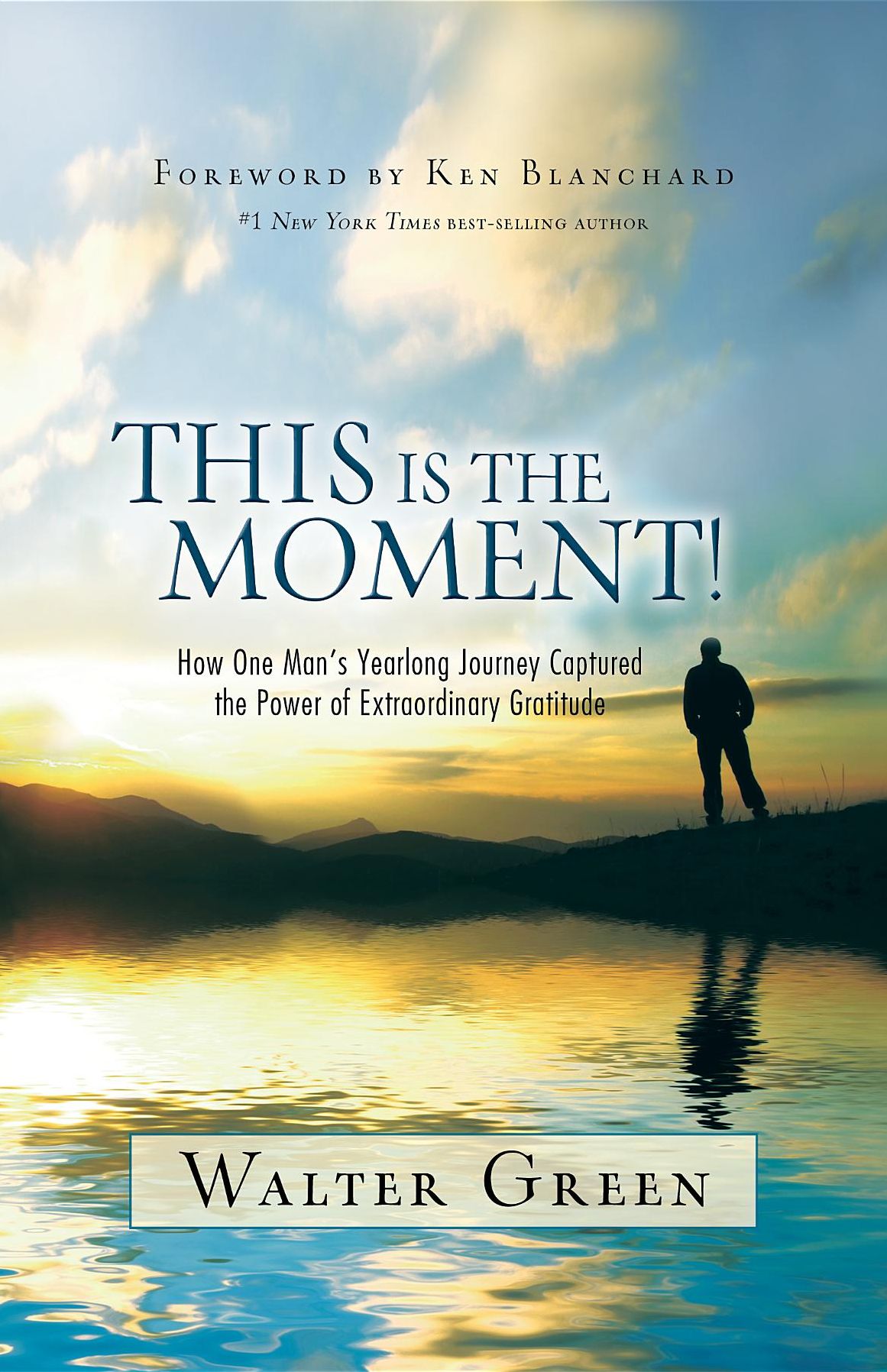 This Is the Moment!: How One Man's Yearlong Journey Captured the Power of Extraordinary Gratitude