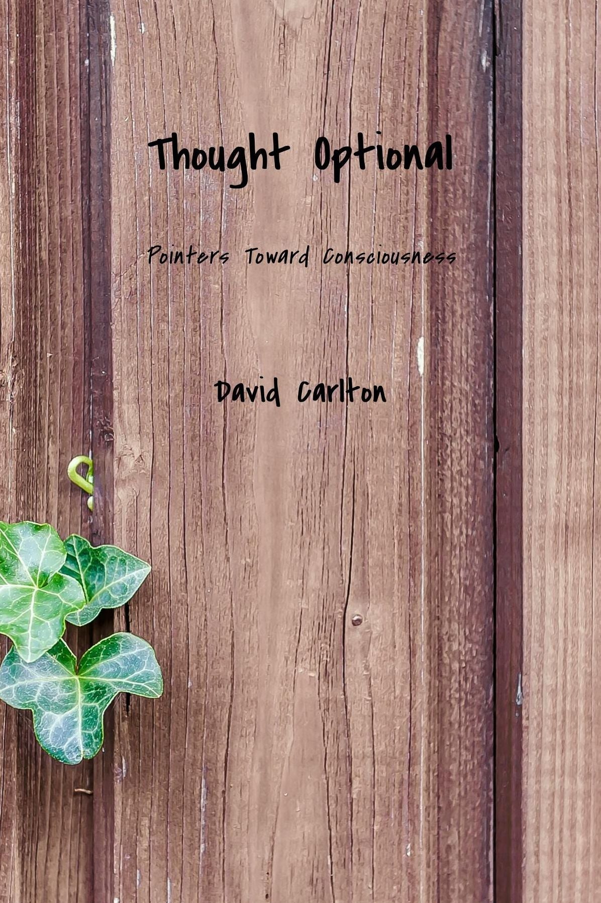 Thought Optional: Pointers Toward Consciousness