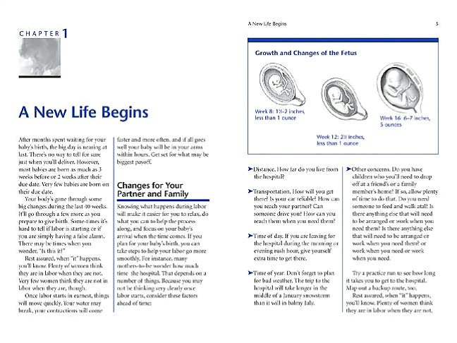 Your Pregnancy and Birth