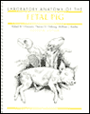 Laboratory Anatomy of the Fetal Pig