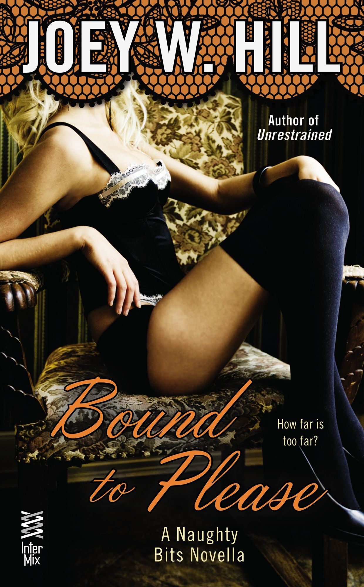 Untitled Lingerie Shop Novella #3