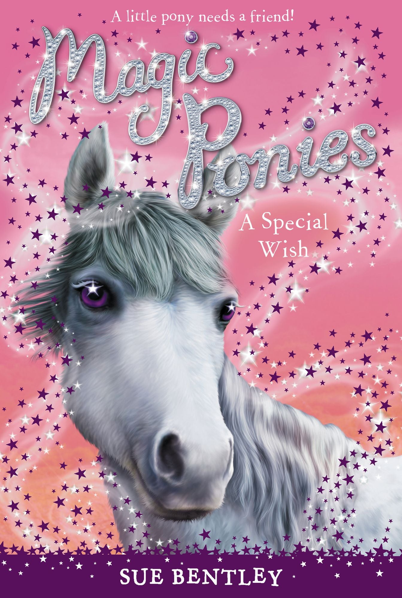 A Special Wish (Magic Ponies Series #2)