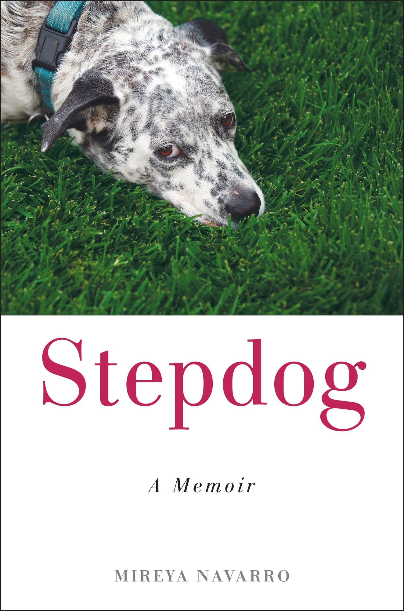 Stepdog: A Memoir