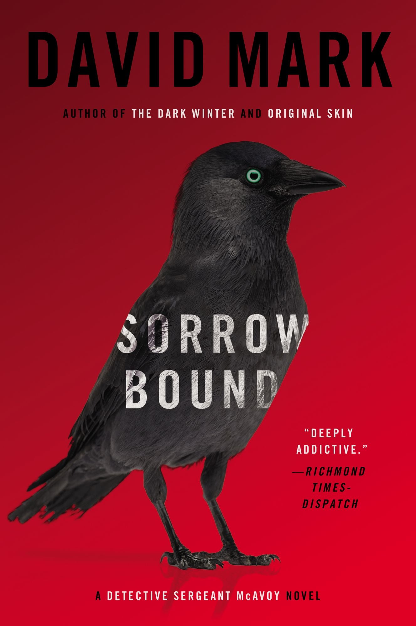 Sorrow Bound (Detective Sergeant McAvoy Series #3)
