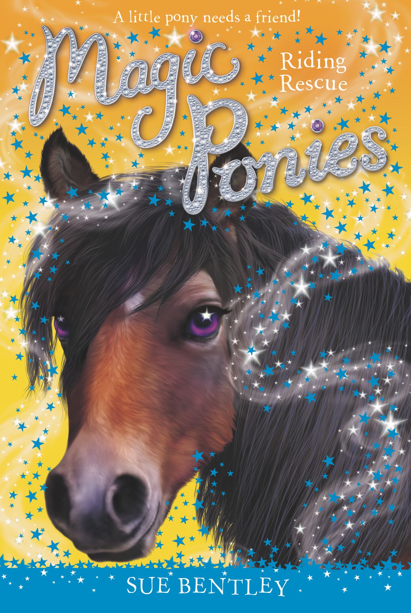 Riding Rescue (Magic Ponies Series #6)