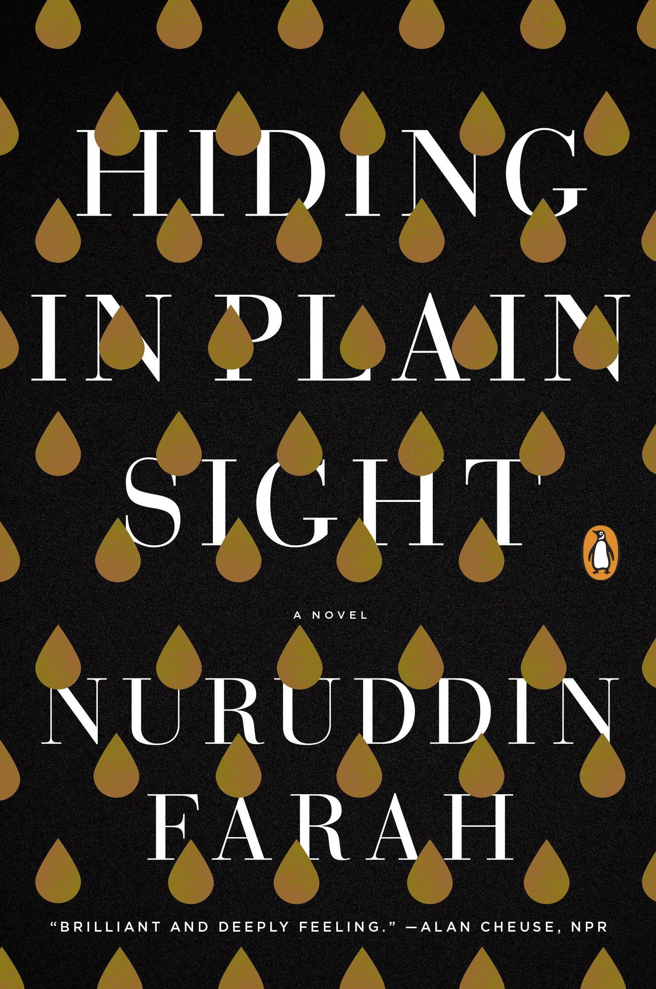 Hiding in Plain Sight