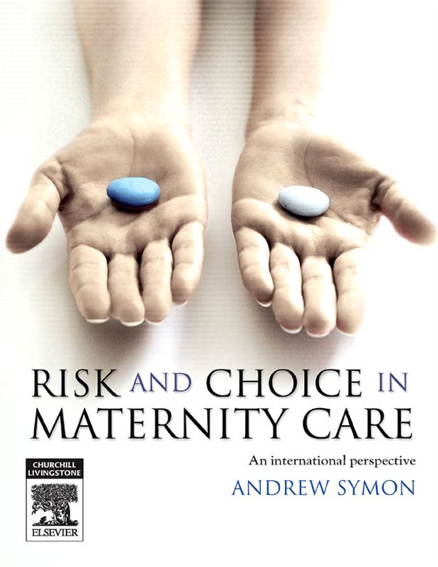 E-Book Risk and Choice in Maternity Care: An International Perspective