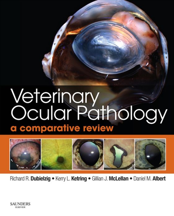 Veterinary Ocular Pathology E-Book: A Comparative Review