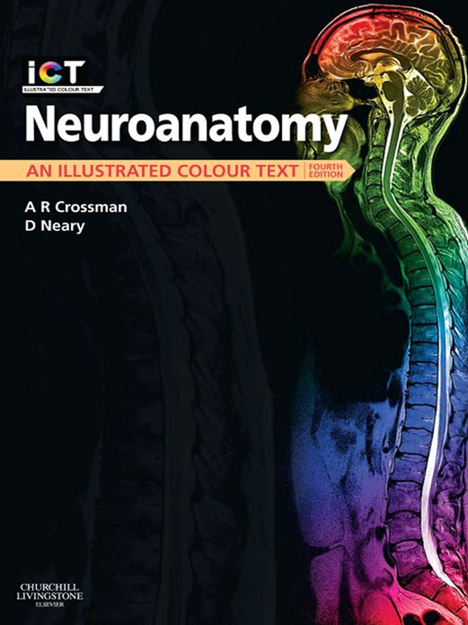 Neuroanatomy E-Book: An Illustrated Colour Text