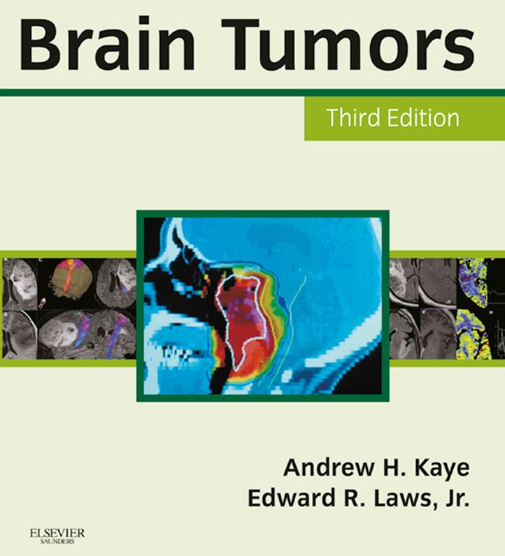 Brain Tumors E-Book: An Encyclopedic Approach
