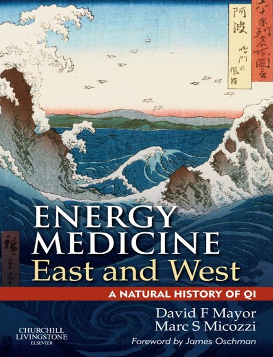E-Book Energy Medicine East and West: a natural history of qi