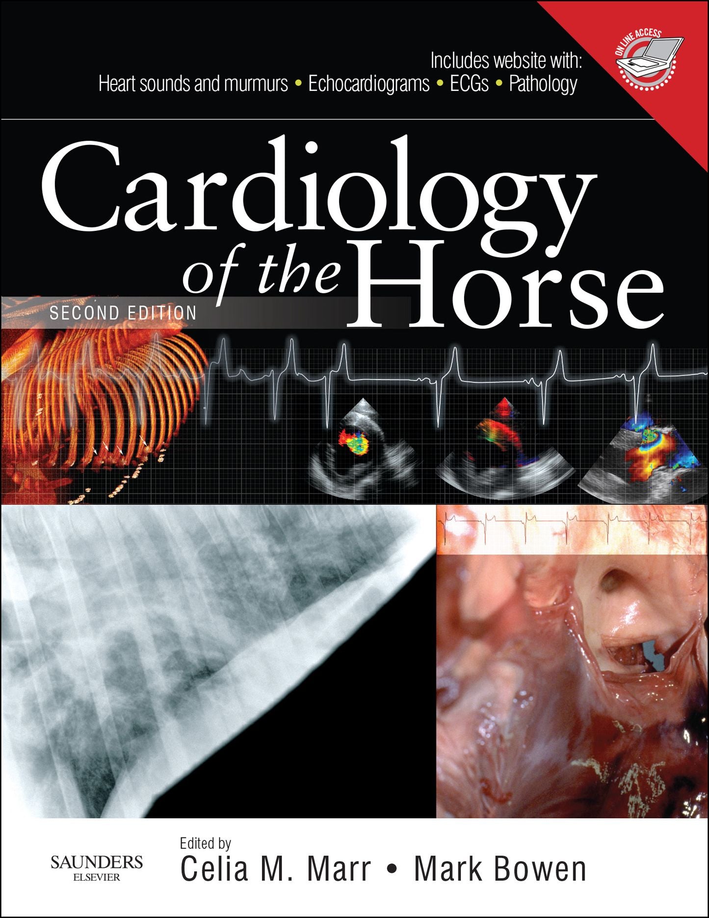 Cardiology of the Horse E-Book
