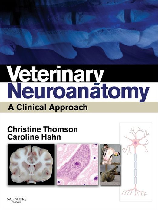 Veterinary Neuroanatomy - E-Book: A Clinical Approach
