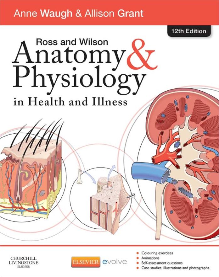 Ross & Wilson Anatomy and Physiology in Health and Illness E-Book