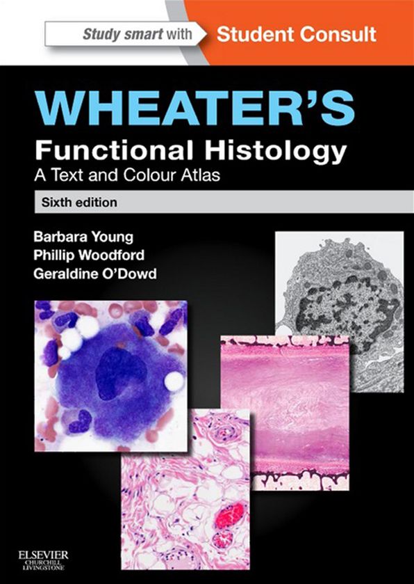 Wheater's Functional Histology E-Book: A Text and Colour Atlas