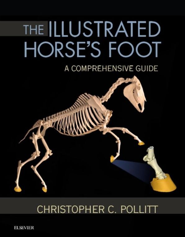 The Illustrated Horse's Foot - E-Book: A comprehensive guide