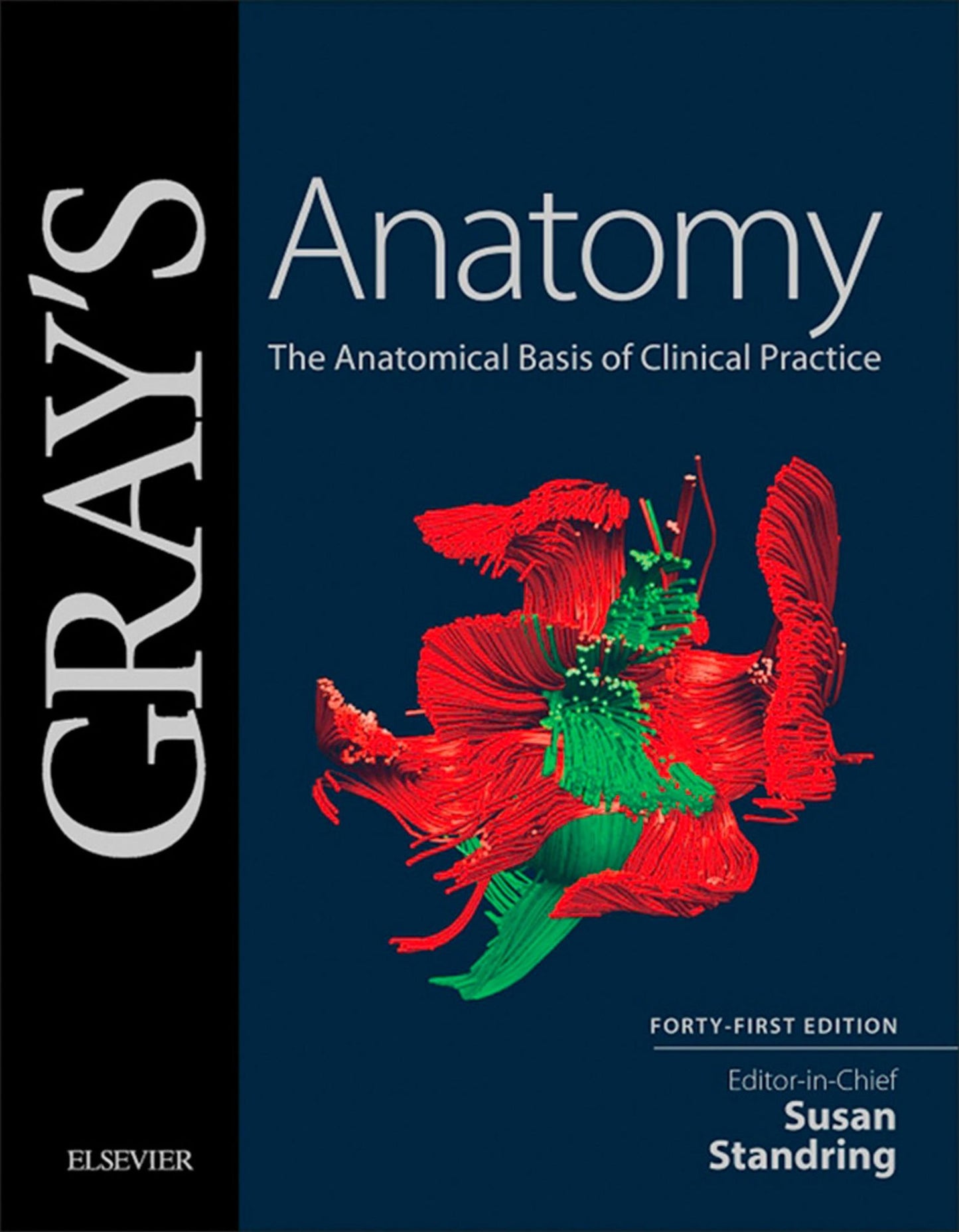 Gray's Anatomy E-Book: The Anatomical Basis of Clinical Practice