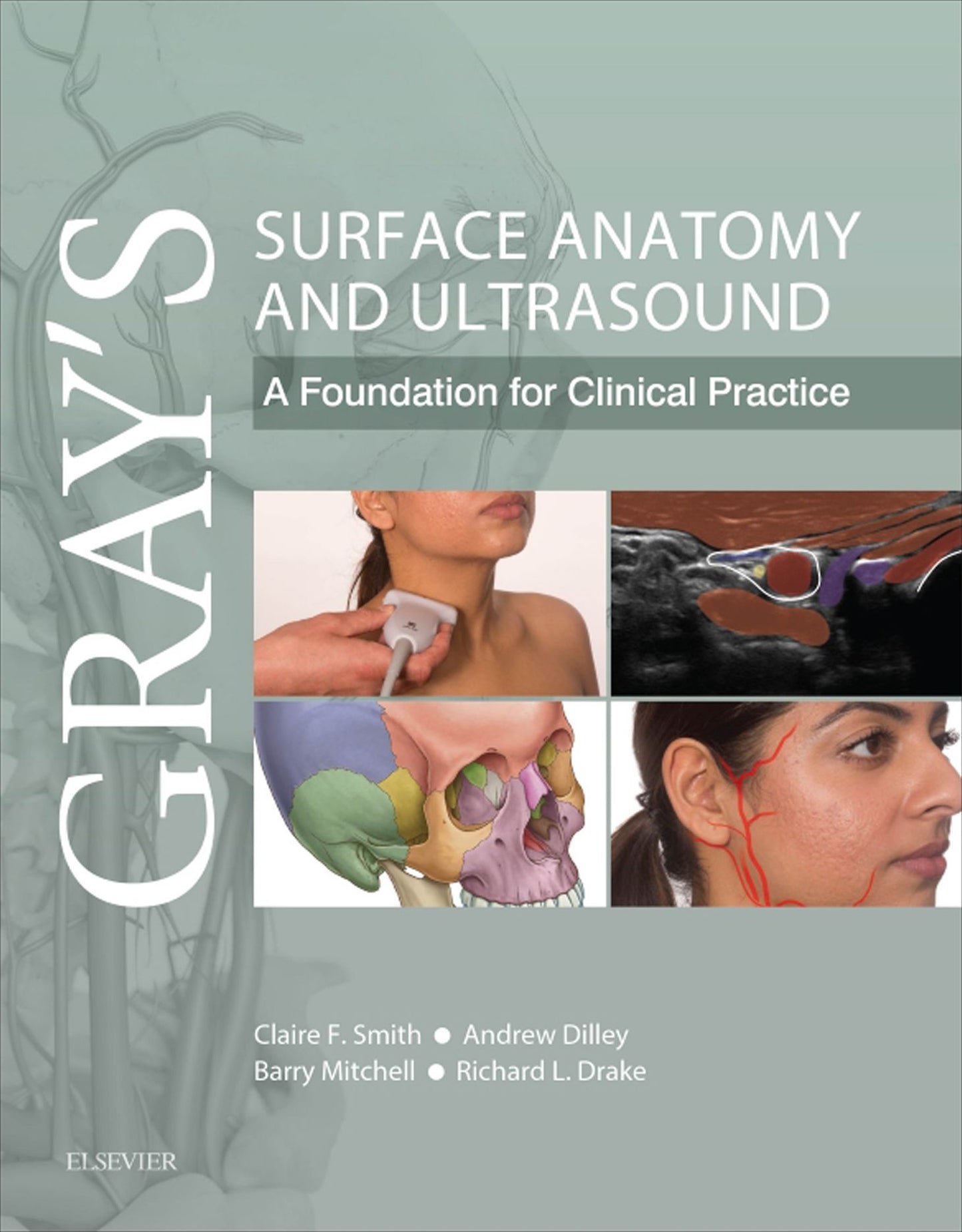 Gray's Surface Anatomy and Ultrasound E-Book: A Foundation for Clinical Practice