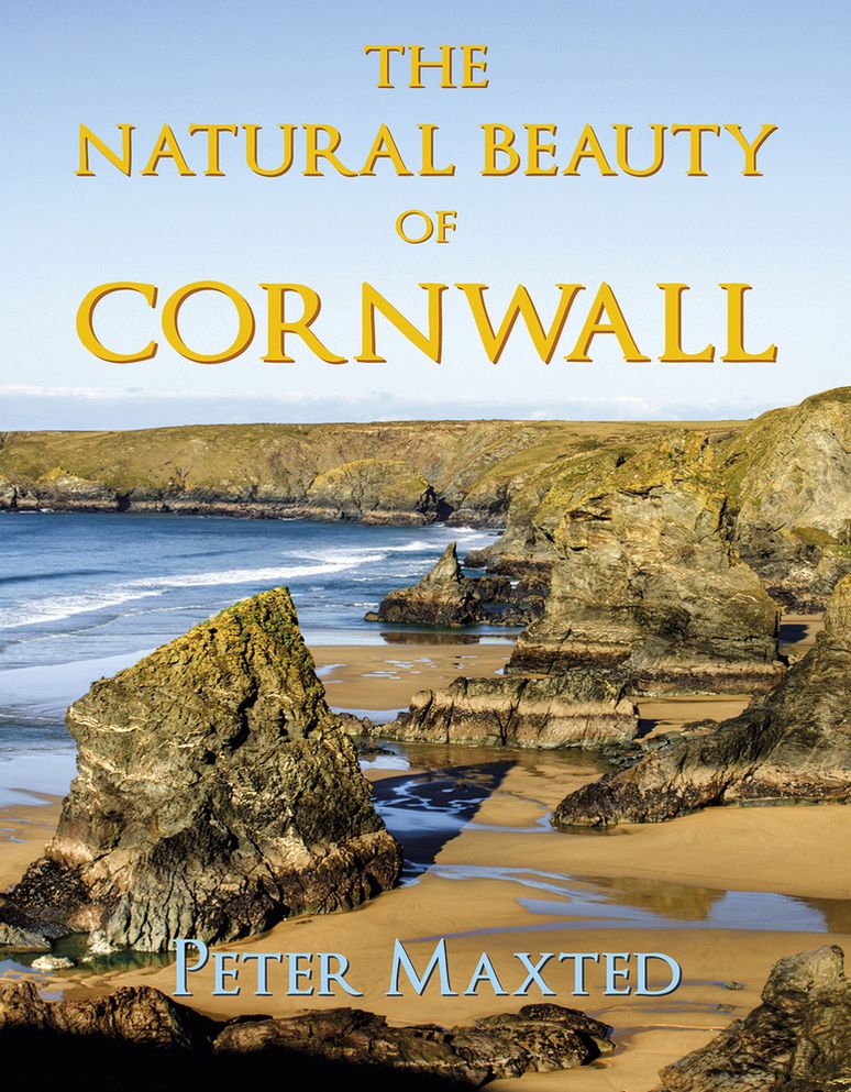 The Natural Beauty of Cornwall