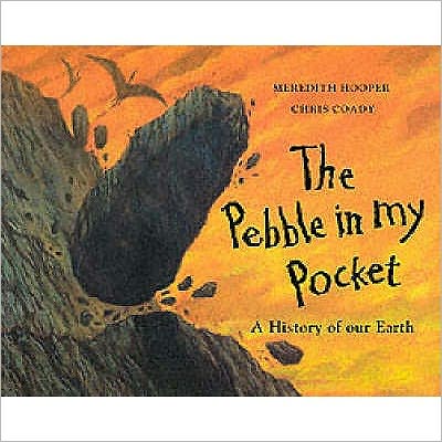 Pebble in My Pocket