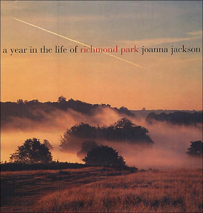 Year in the Life of Richmond Park