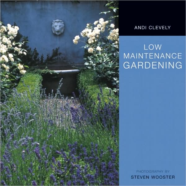 Low Maintenance Garden