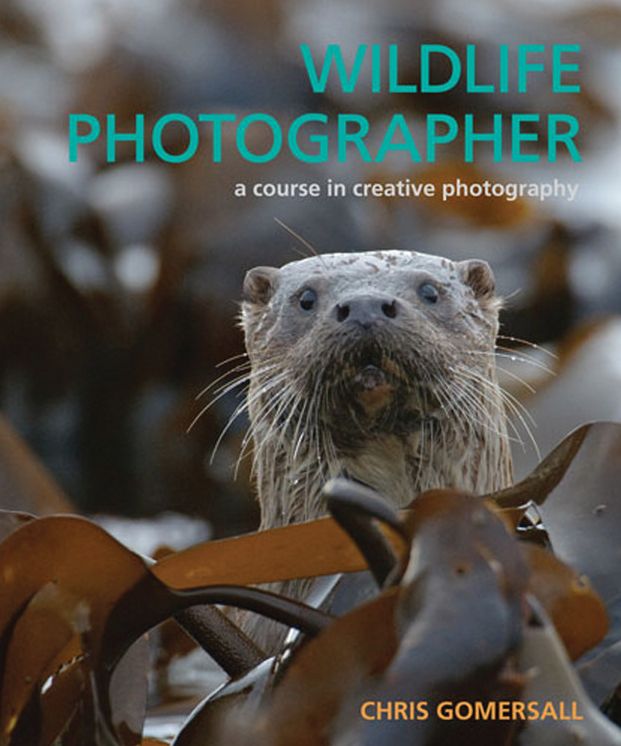 Wildlife Photographer: A Course in Creative Photography