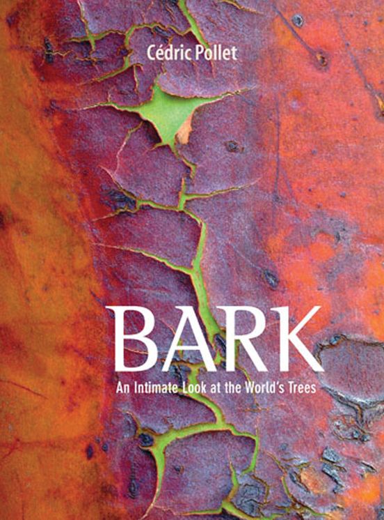 Bark: An Intimate Look at the World's Trees