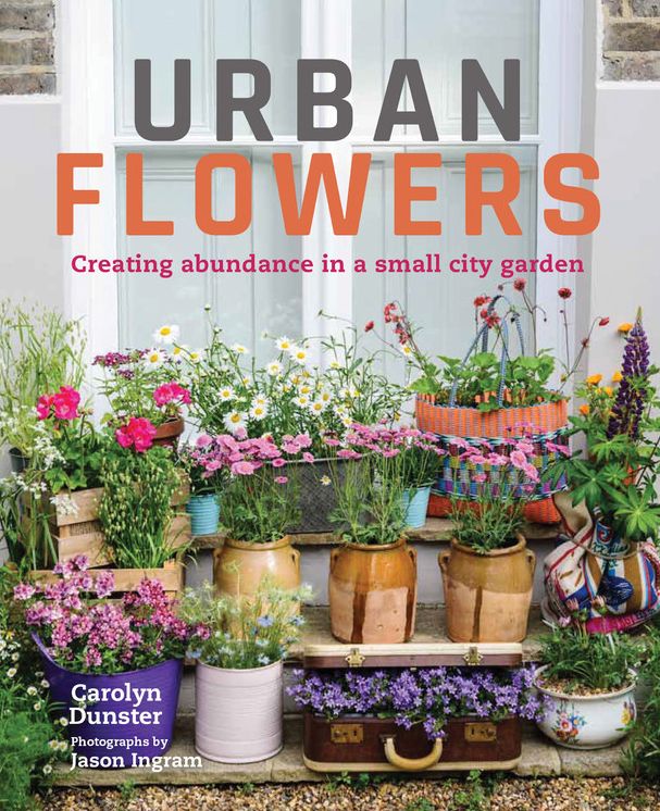 Urban Flowers: Creating abundance in a small city garden
