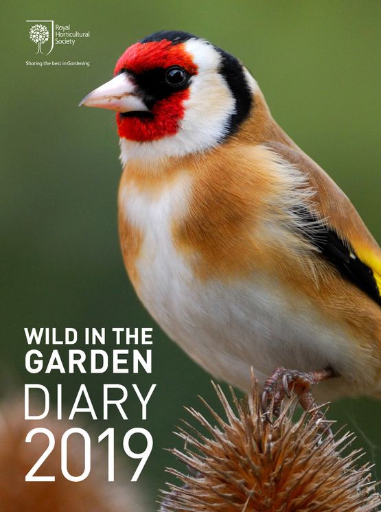 RHS Wild in the Garden Diary 2019