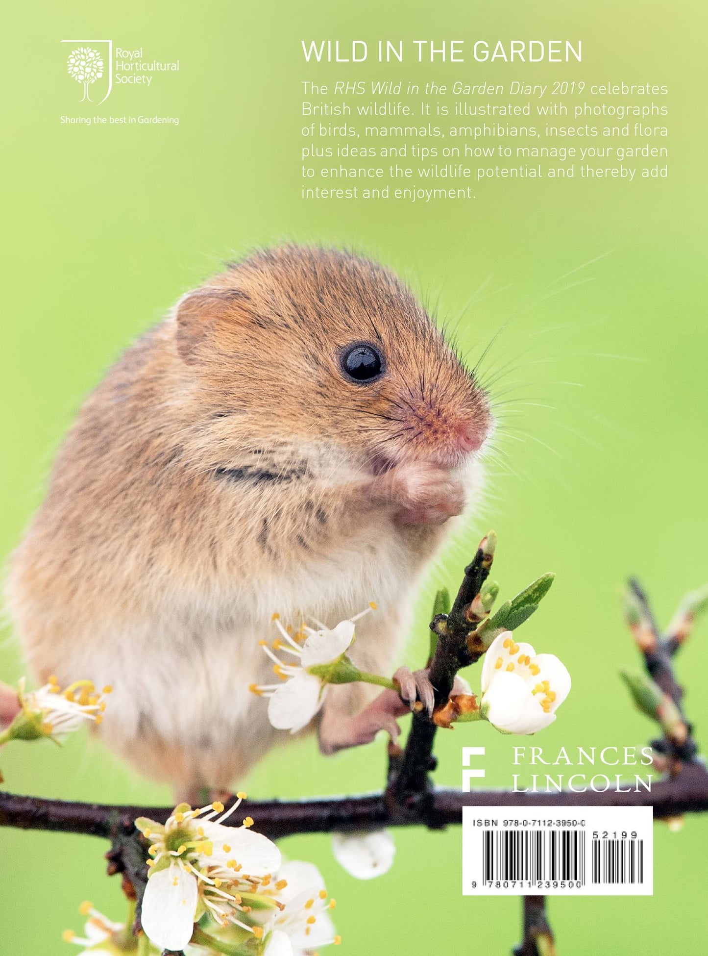 RHS Wild in the Garden Diary 2019