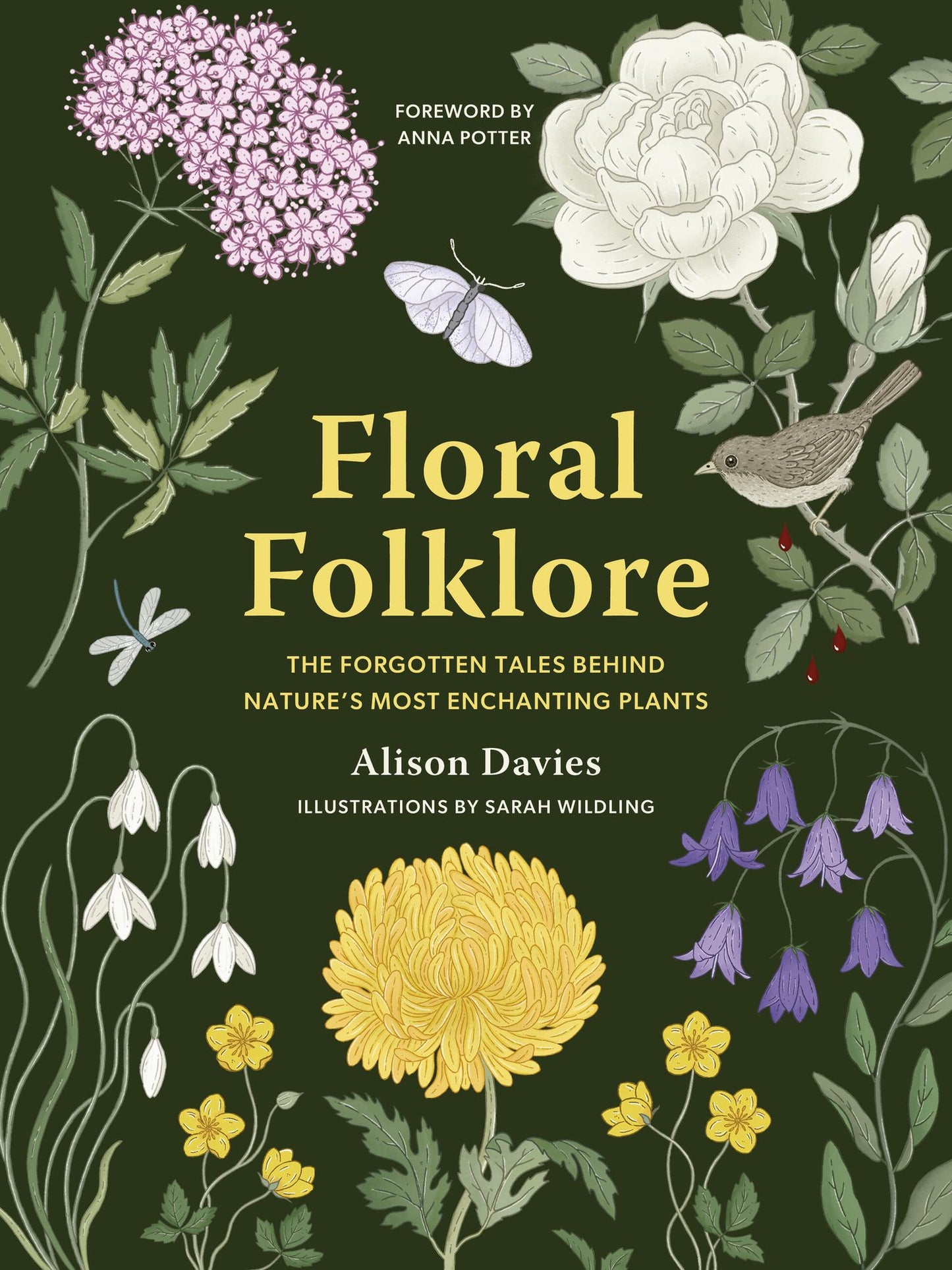 Floral Folklore: The forgotten tales behind nature's most enchanting plants