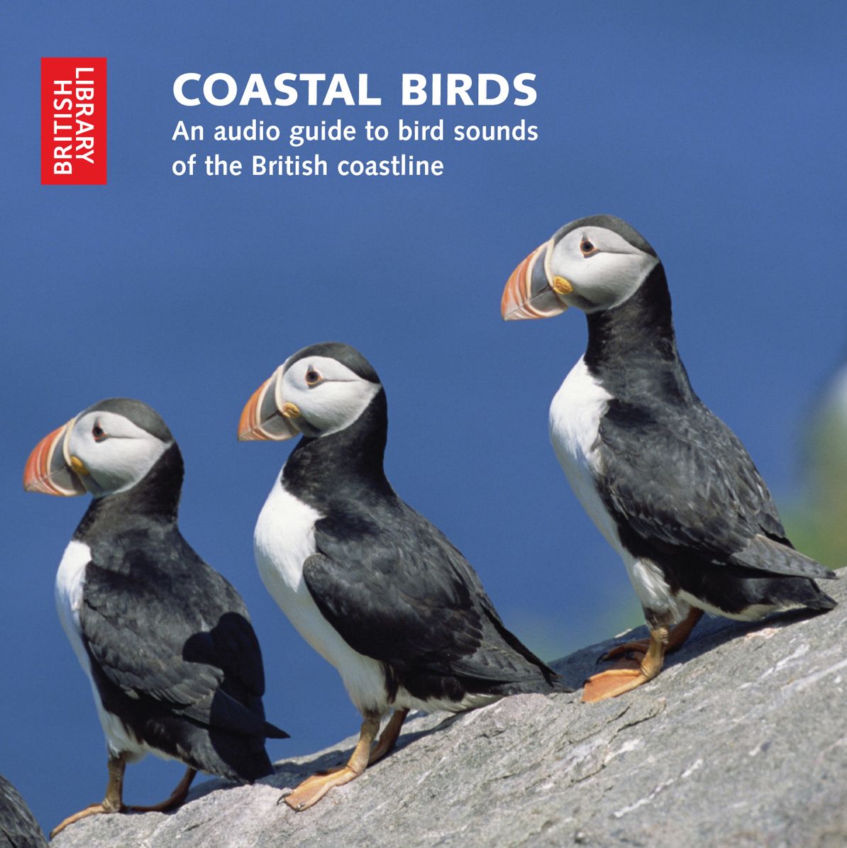 Coastal Birds: An Audio Guide to Bird Sounds of the British Coastline - CD with Booklet