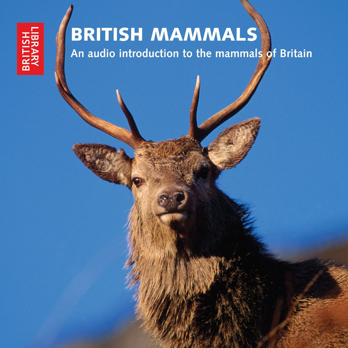 British Mammals: An Audio Introduction to the Mammals of Britain - CD with Booklet