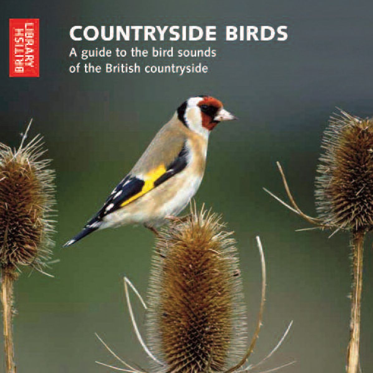 Countryside Birds: An Audio Guide to the Bird Songs of the British Countryside- CD with Booklet