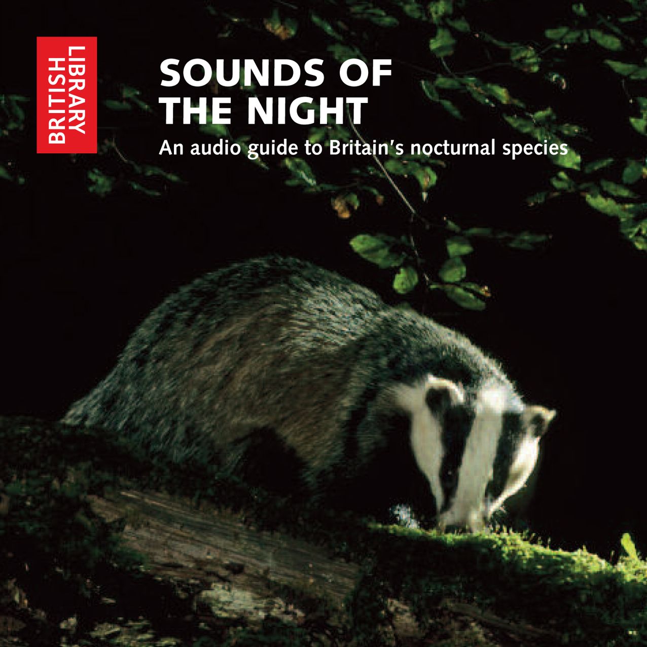 Sounds of the Night: An Audio Guide to Britain's Nocturnal Species