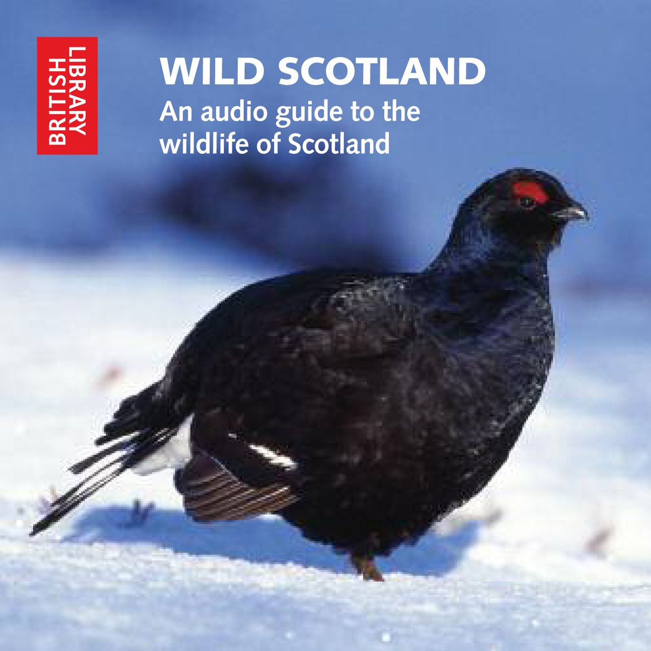 Wild Scotland: An Audio Guide to the Wildlife of Scotland